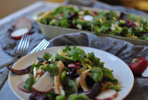 Asiatischer Salat mit Huhn, Avocado, Radieschen, Edamame, Koriander